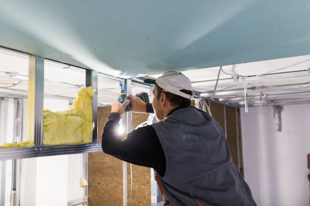 Best Insulation Replacement Services  in Erwin, NC