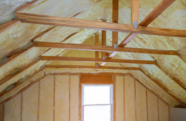 Insulation Repair Services in Erwin, NC