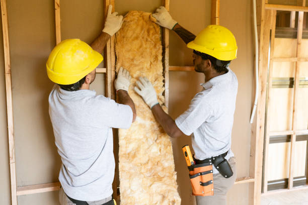 Professional Insulation Contractor in Erwin, NC