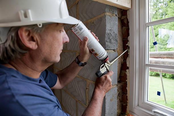 Best Cellulose Insulation  in Erwin, NC