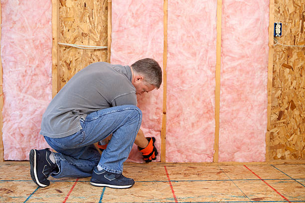 Best Insulation Removal  in Erwin, NC